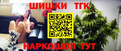 индика Лесосибирск