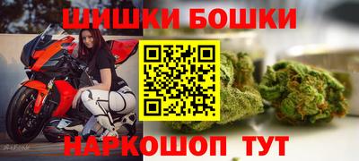 индика Лесосибирск