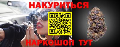 индика Лесосибирск