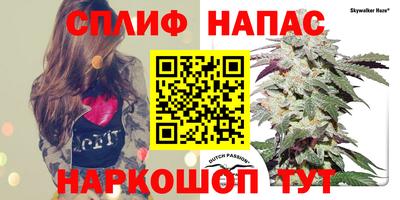 индика Лесосибирск