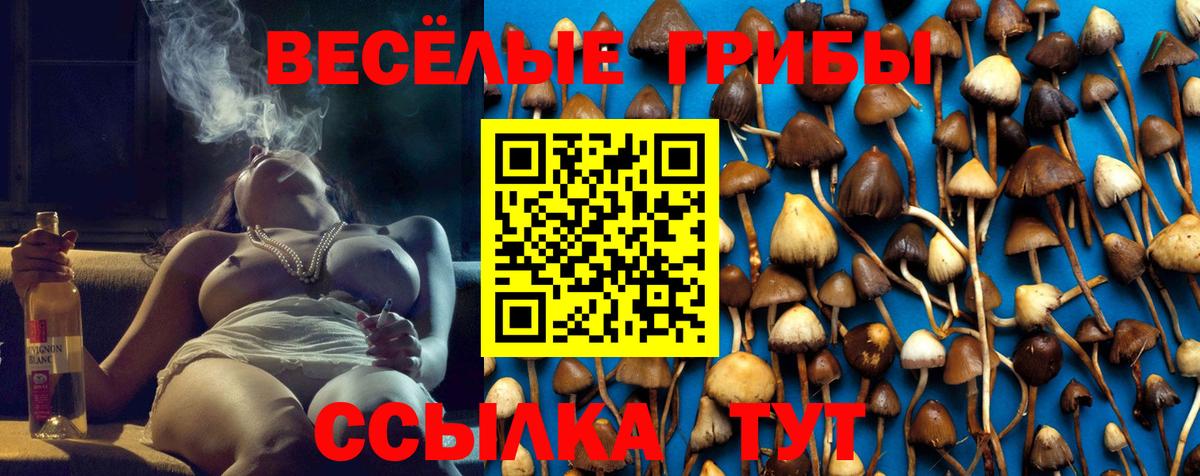 Бугуруслан  сколько стоит  Галлюциногенные грибы ЛСД  Вход с VPN  Галлюциногенные грибы Psilocybine cubensis 