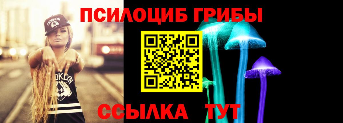 Галлюциногенные грибы Psilocybe Бугуруслан
